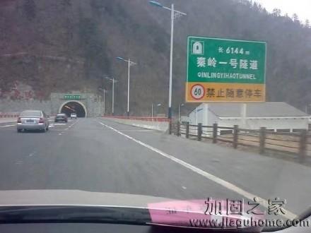 大客車碰撞隧道致36人死亡，隧道設(shè)計(jì)不合理需要改造加固？