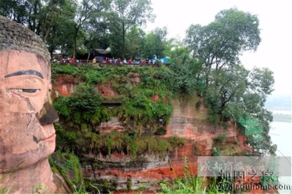 樂山大佛10月開始進行加固，預(yù)計明年2月完工