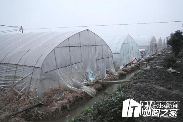 大雪來臨加固大棚 減少農(nóng)業(yè)損失！