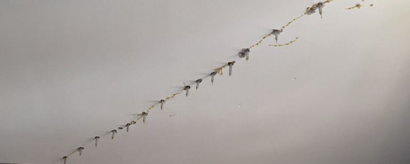 樓板漏水可怎么辦？